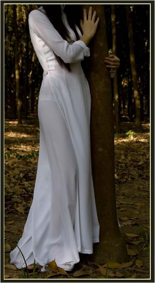 chup len flickr thieu nu mac ao dai goi cam hinh anh 4